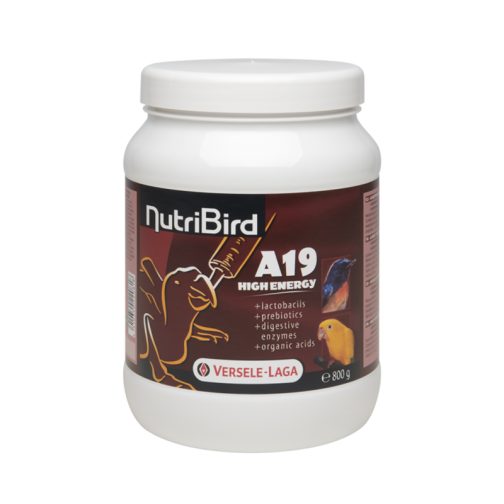 Nutribird A19 High Energy 800gr - Elevage À La Main Pour Oisillons Demandant Beaucoup D'énergie