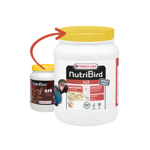 A19 - Elevage à la main pour toutes sortes d'oisillons ayant un besoin élevé en énergie 800gr - Nutribird