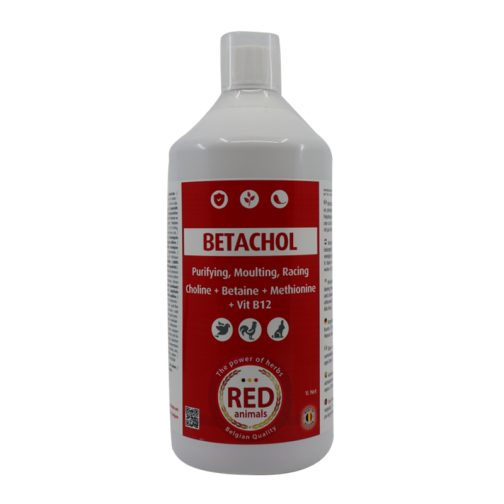 Betachol (Couleur Rouge Avec B-Vitamines, Foie, Plumage) - Red Pigeon Pour Pigeons Et Oiseaux