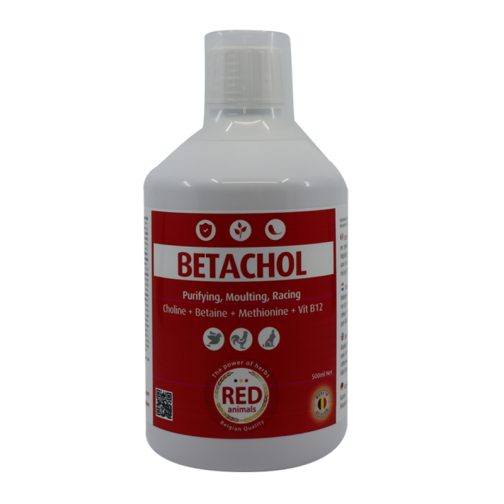 Betachol (Couleur Rouge Avec B-Vitamines, Foie, Plumage) - Red Pigeon Pour Pigeons Et Oiseaux – Image 2