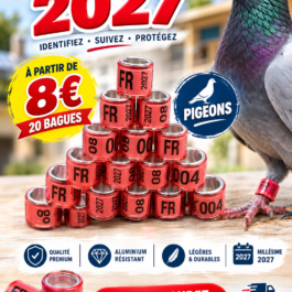 Bagues oiseaux en plastique plexi alu 2027 pigeons voyageur 08mm FR