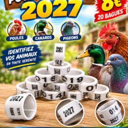 Bagues plastique 2027 pour pigeons / poules 08/10/12/14/16/18/20mm couleur BLANC